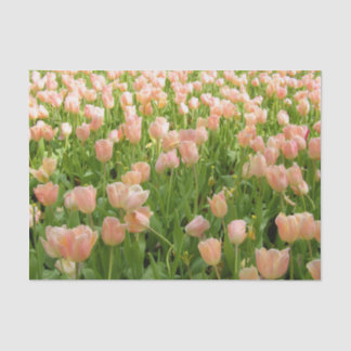 Pink Tulips in Spring Tissue Paper Seidenpapier