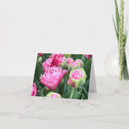 Pink Tulips Leere Mitteilungskarten