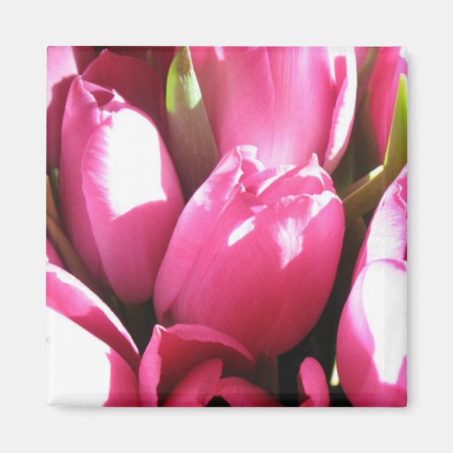 Pink Tulips Magnet (Vorne)