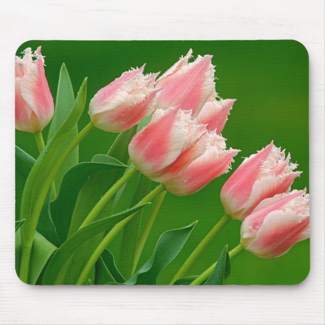 Pink Tulips Mouse Pad Mousepad (Vorne)