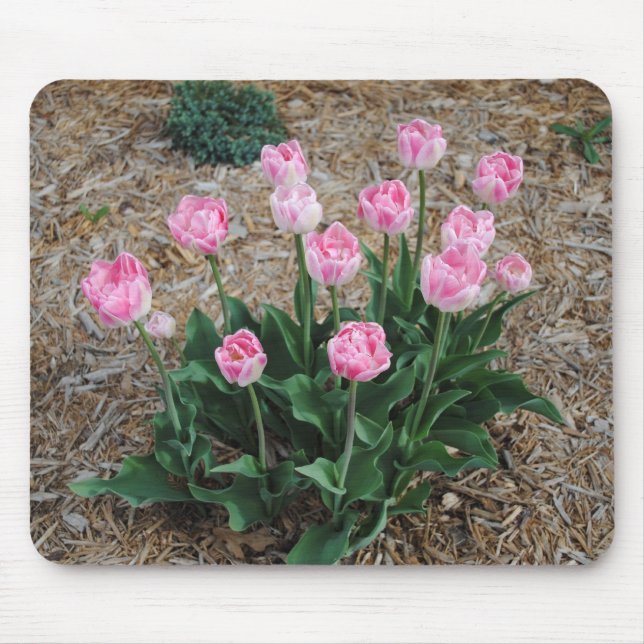 Pink Tulips Mousepad (Vorne)