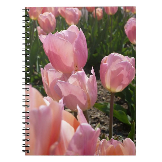 Pink Tulips Notizblock (Vorderseite)