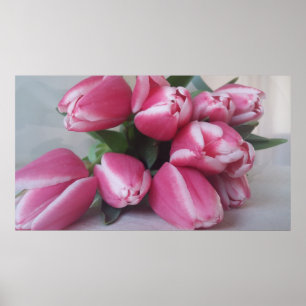 Pink Tulips, Poster