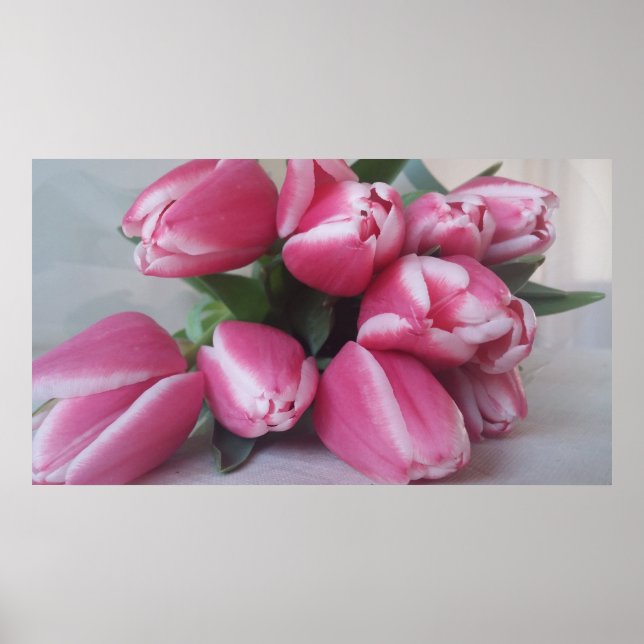 Pink Tulips, Poster (Vorne)