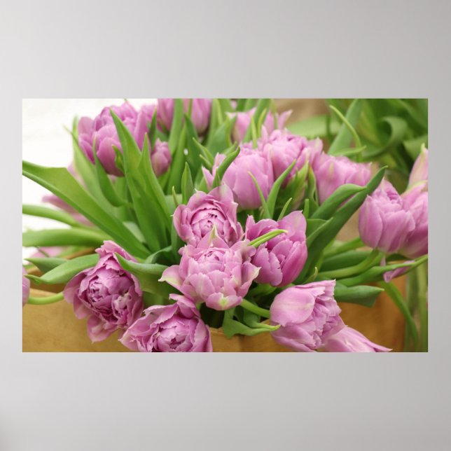 Pink Tulips Poster (Vorne)