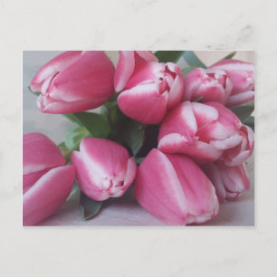 Pink Tulips Postkarte