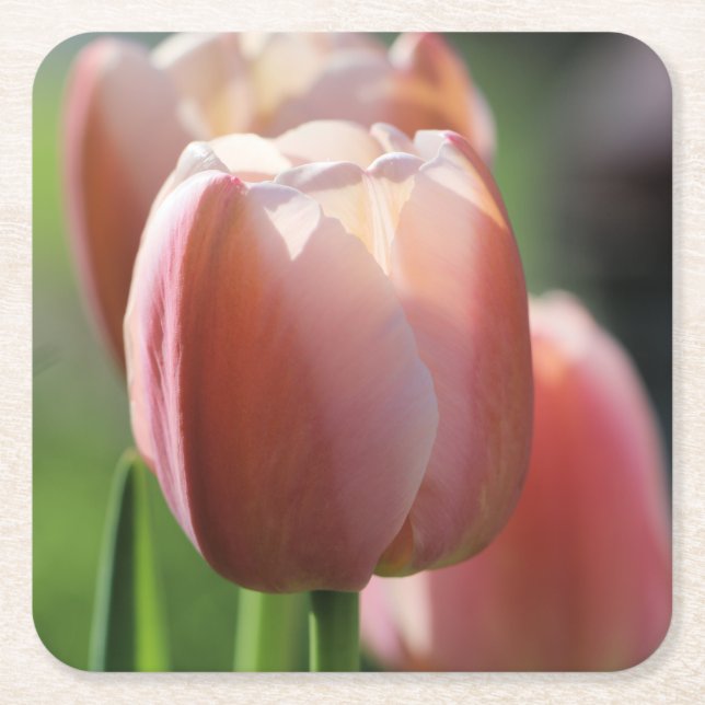 Pink Tulips Rechteckiger Pappuntersetzer (Vorderseite)