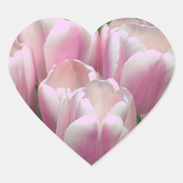 Pink Tulips Sticker (Vorderseite)