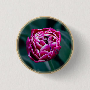 Pink-Tulpe Button