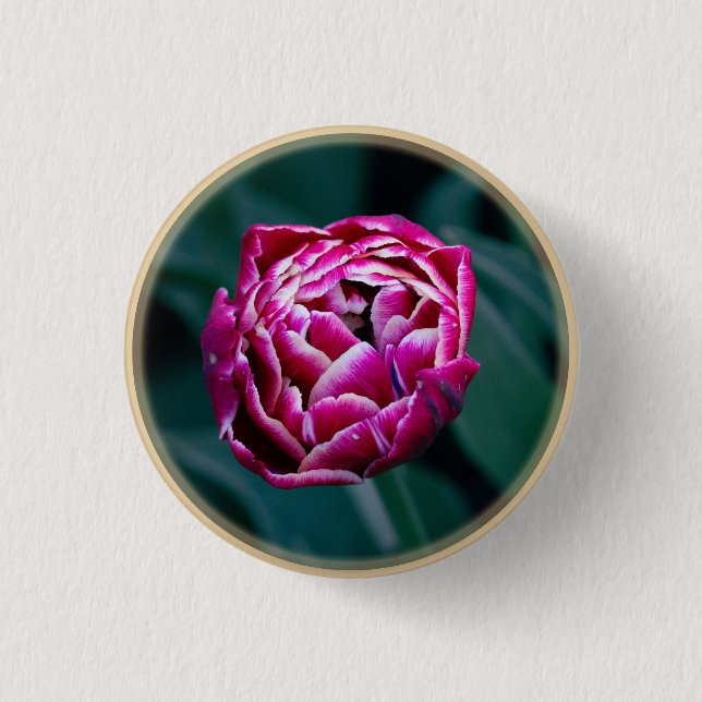 Pink-Tulpe Button (Vorderseite)