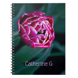 Pink-Tulpe Notizblock