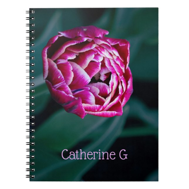 Pink-Tulpe Notizblock (Vorderseite)