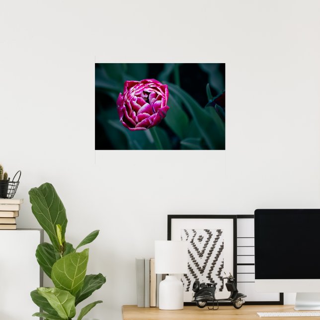 Pink-Tulpe Poster (Heimbüro)