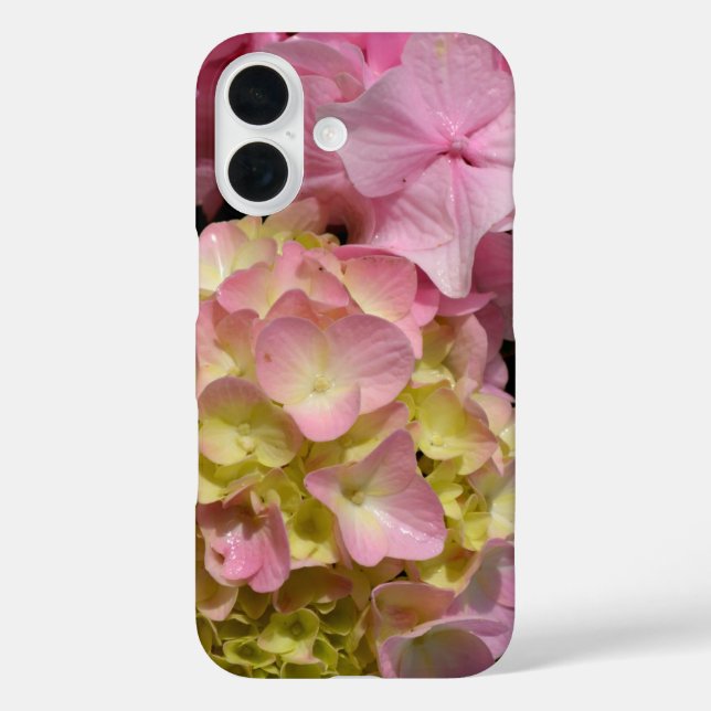 Pink und Cream Hydrangeas Case-Mate iPhone Hülle (Rückseite)