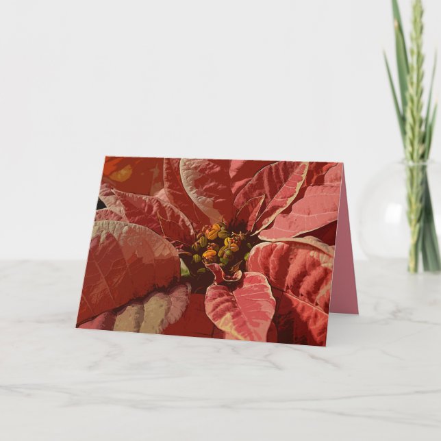 Pink und Cream Poinsettias Feiertagskarte (Vorderseite)