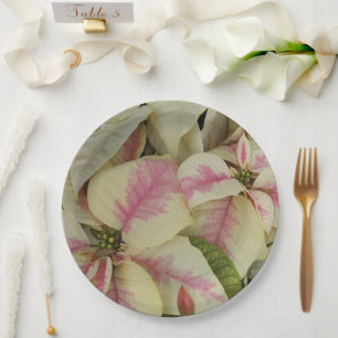 Pink und Cream Poinsettias Holiday Pappteller