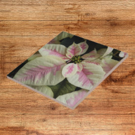 Pink und Creme Marmor Poinsettia Floral Fliese