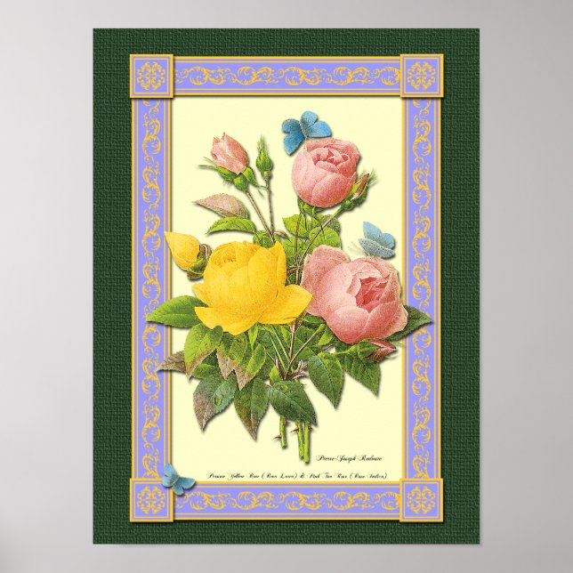 Pink und gelb Botanische Rose Poster (Vorne)