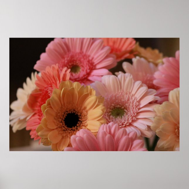 PINK- UND GELBE-BLUMEN IN NAH-OBEN-FOTOGRAFIE POSTER (Vorne)