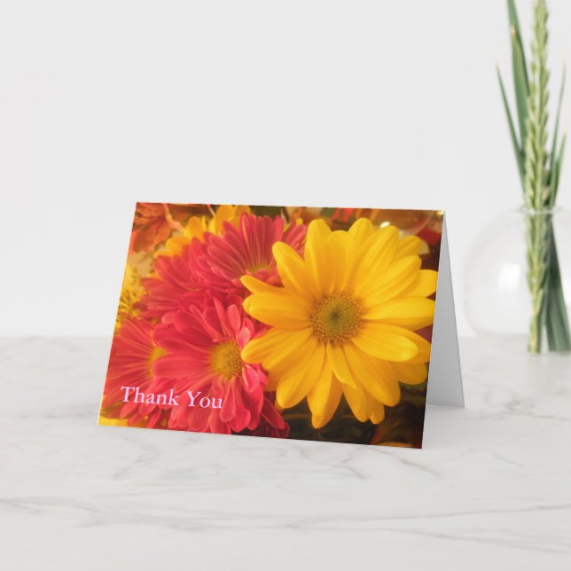 Pink und Gelbe Daisies Danke (Vorderseite)