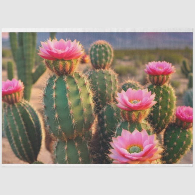 Pink und Green Cactus Decoupage Paper Arizona Seidenpapier (Vorderseite)