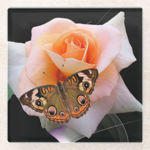 Pink und Pfirsichfarben Rose mit Buckeye Butterfly Glasuntersetzer