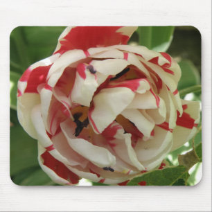 Pink und weiße Tulip-Mauspad Mousepad