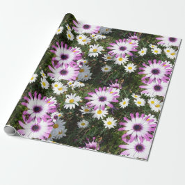 Pink und White Daisies Daisy Blume Wrapping Geschenkpapier