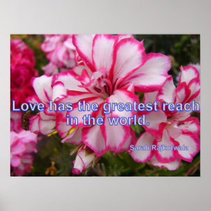 Pink Vintag Geranium Garden Blume Liebe Poster