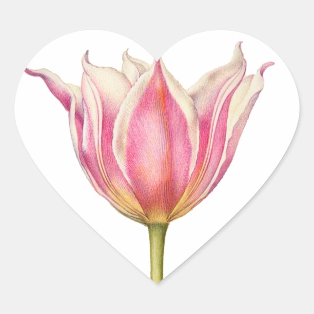 Pink Vintag Tulip Heart Shape Stickers (Vorderseite)