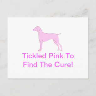 Pink Vizsla Postkarte