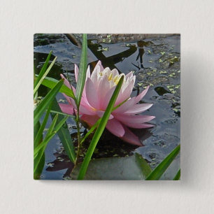Pink-Wasser-Lily-Koordinaten Button