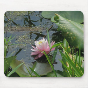 Pink-Wasser-Lily-Koordinaten Mousepad