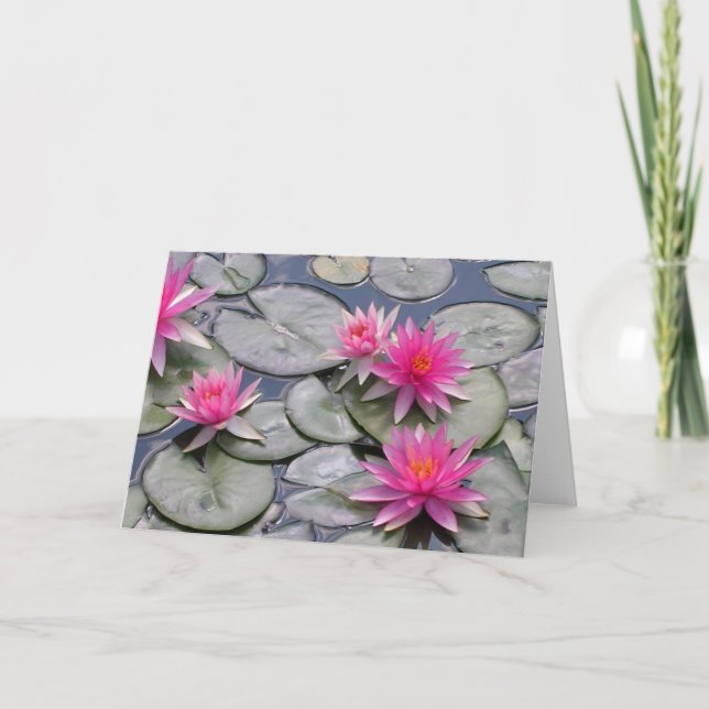 Pink Water Lilies Karte (Vorderseite)