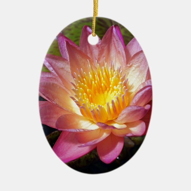 Pink Water Lily Foto Keramik Ornament (Vorne)
