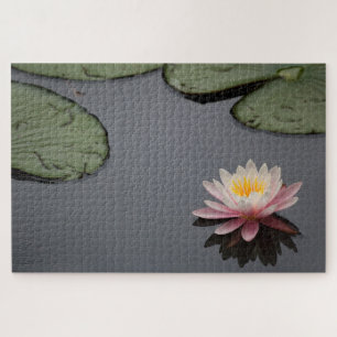 Pink Water Lily Foto Puzzle