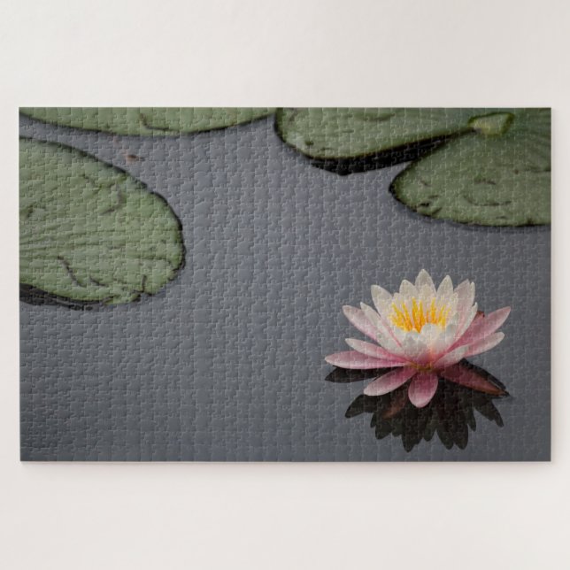 Pink Water Lily Foto Puzzle (Horizontal)