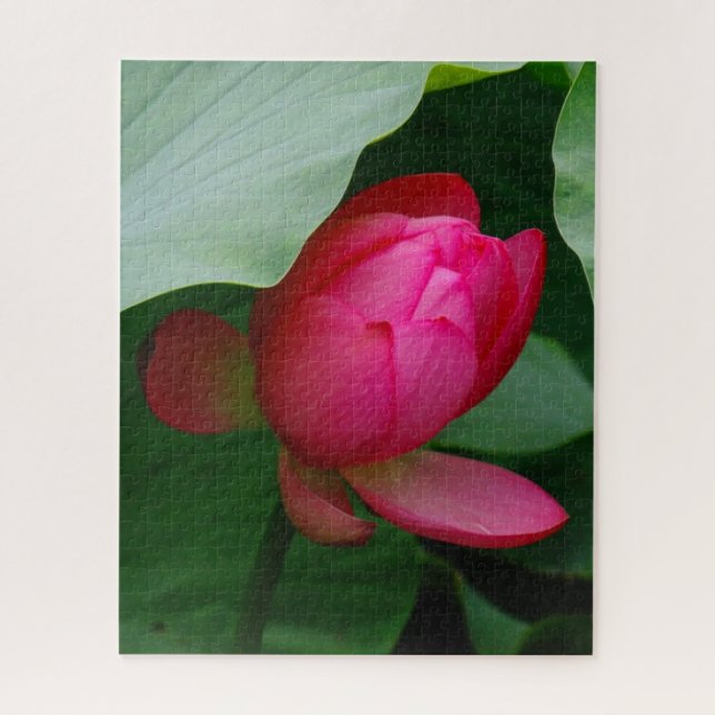 Pink Water Lily gegen die Blätter Puzzle (Vertikal)