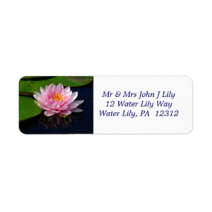 Pink Water Lily gibt das Adressetikett zurück