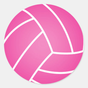 Pink Water Polo Ball Runder Aufkleber