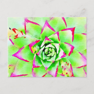 Pink Watercolor Sukkuline Postkarte