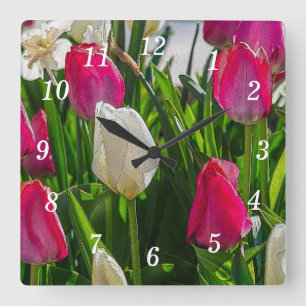 Pink-weiße Tulpen Painterly Wall Clock Quadratische Wanduhr