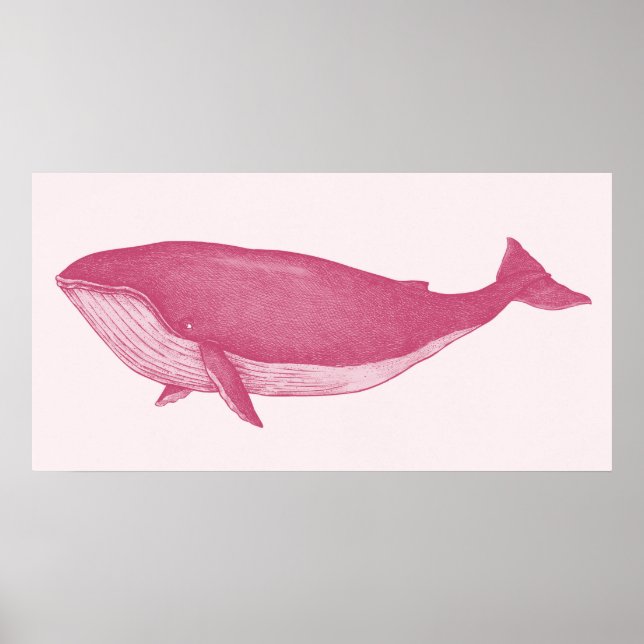 Pink Whale Poster (Vorne)