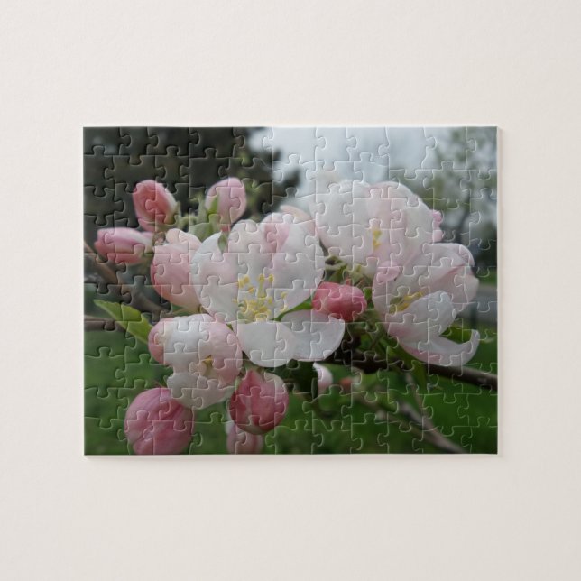 Pink White Blume Jigsaw Puzzle (Horizontal)