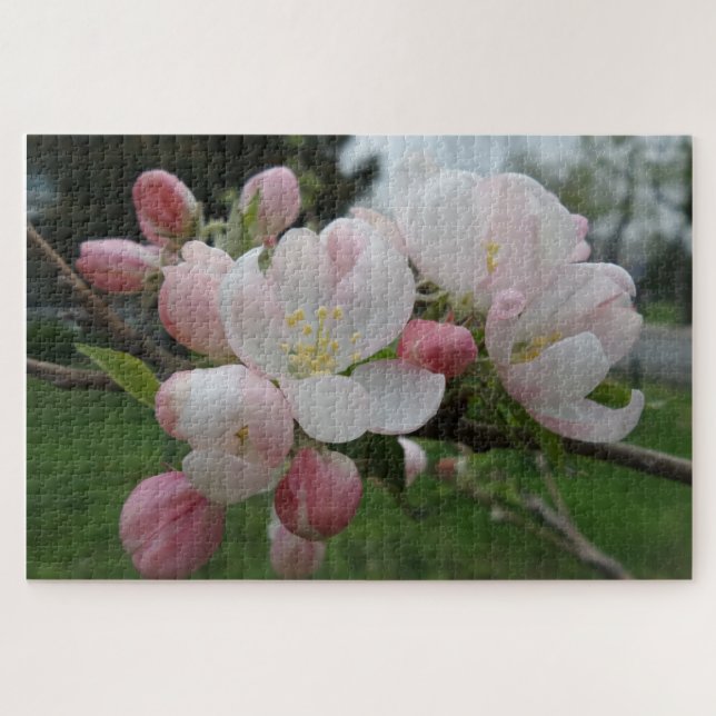 Pink & White Blume Jigsaw Puzzle (Horizontal)