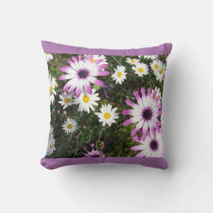 Pink White Daisy Daisis Blume Floral Cushion Kissen