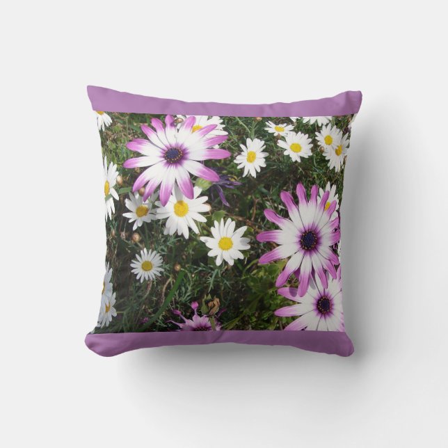 Pink White Daisy Daisis Blume Floral Cushion Kissen (Vorderseite)