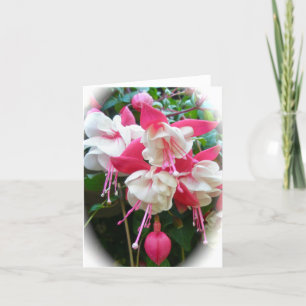 Pink & White Fuschia Card Karte