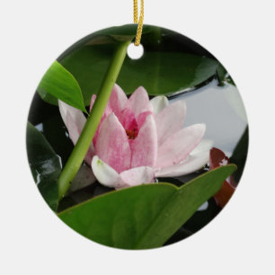 Pink White Lotus Flower Fotografie Keramik Ornament
