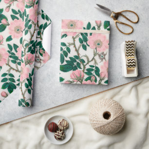 Pink Wild Rose Blume & Green Blätter Muster Geschenkpapier